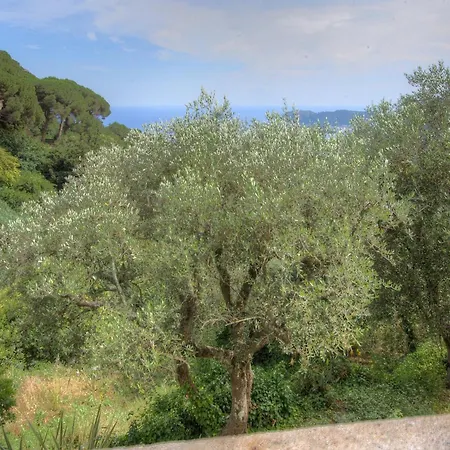 Alassio-villa-sea-view 公寓 *