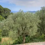 Alassio-villa-sea-view Lejlighed *