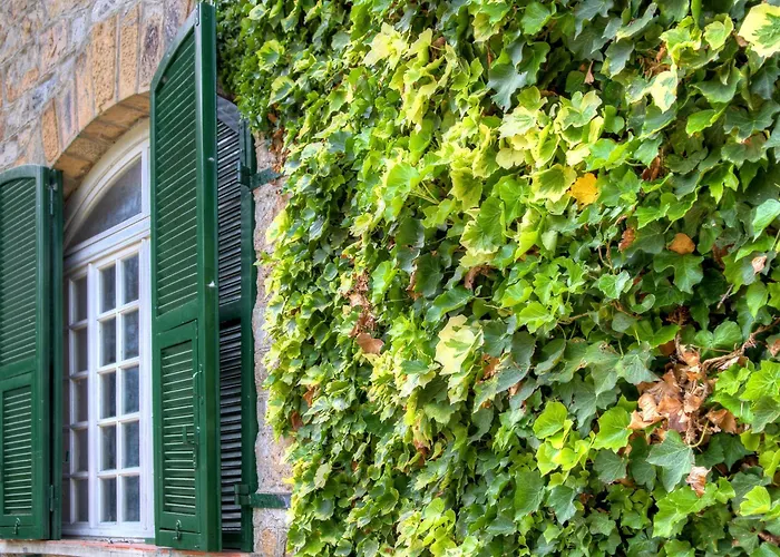 Alassio-villa-sea-view * 알라시오